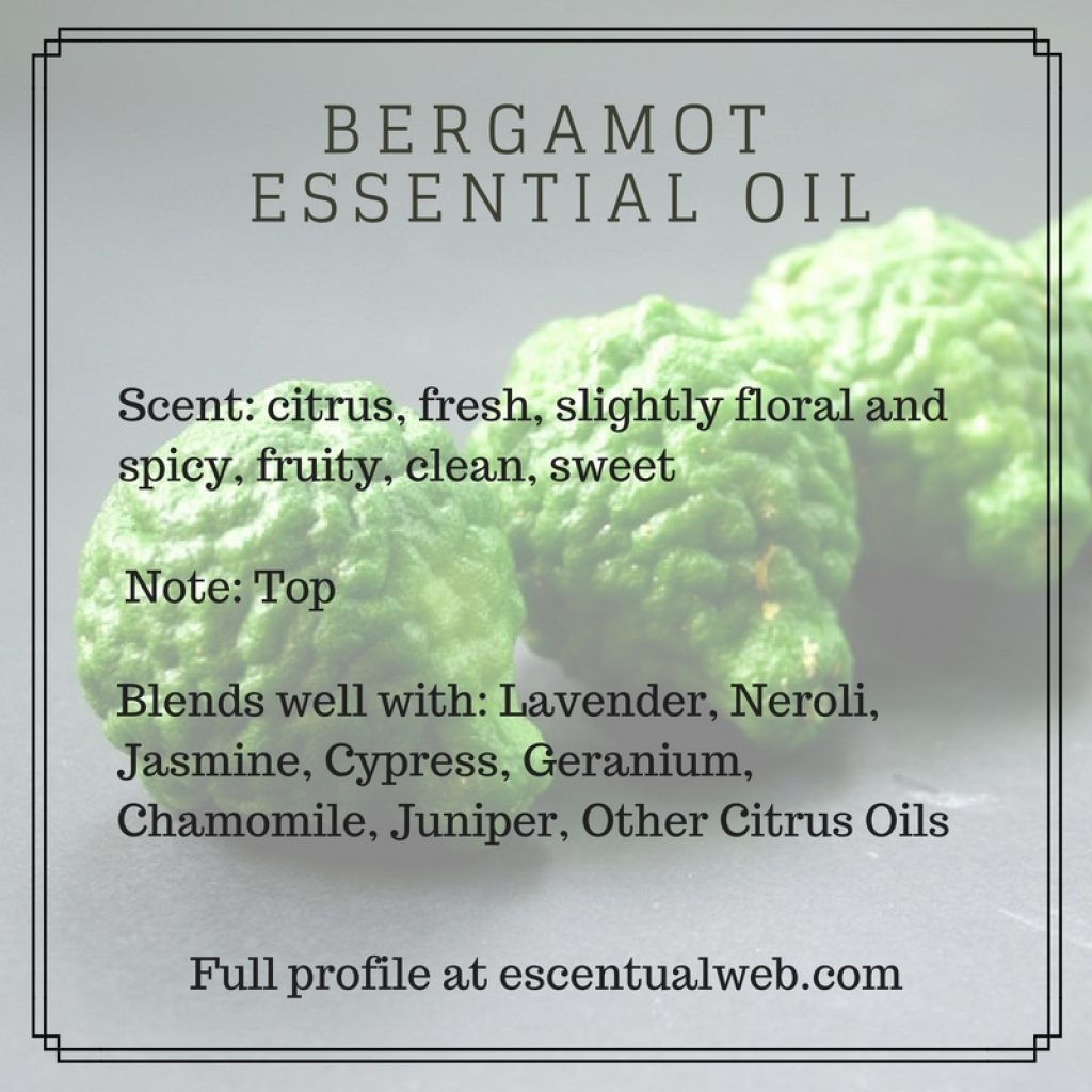 Bergamot Citrus Bergamia Essential Oil Escentual Web