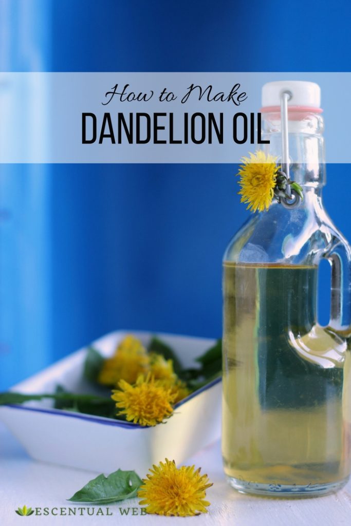 How to Make Dandelion Oil