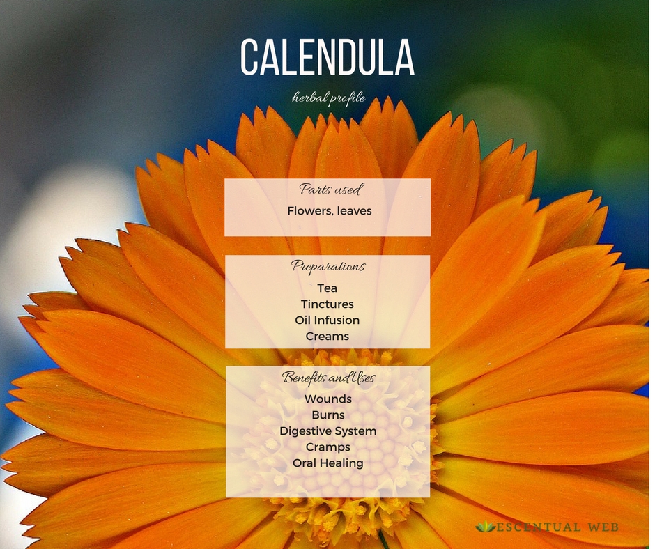 Calendula Herbal Profile