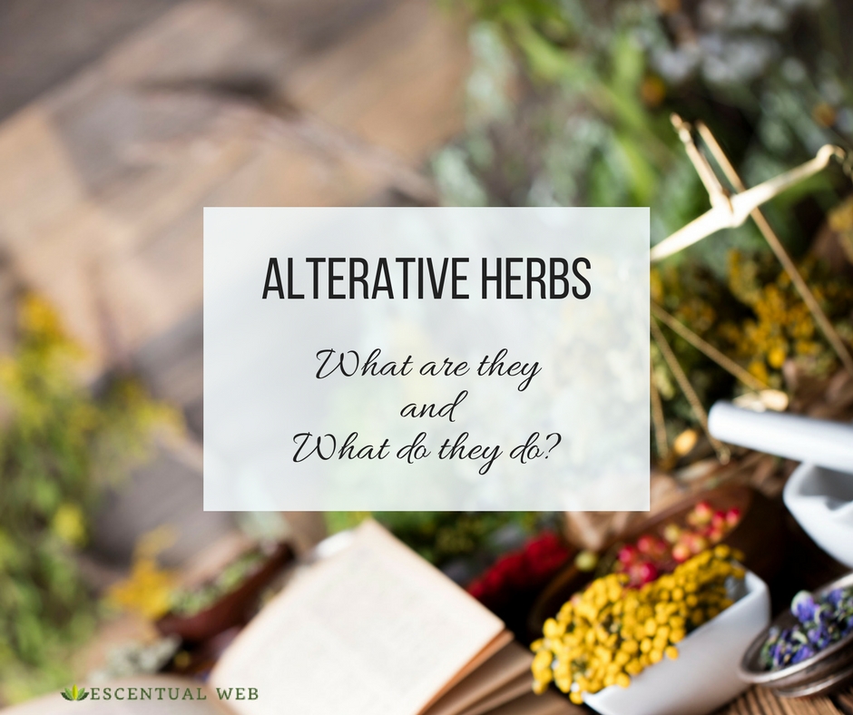 Alterative Herbs: What are they and what do they do?