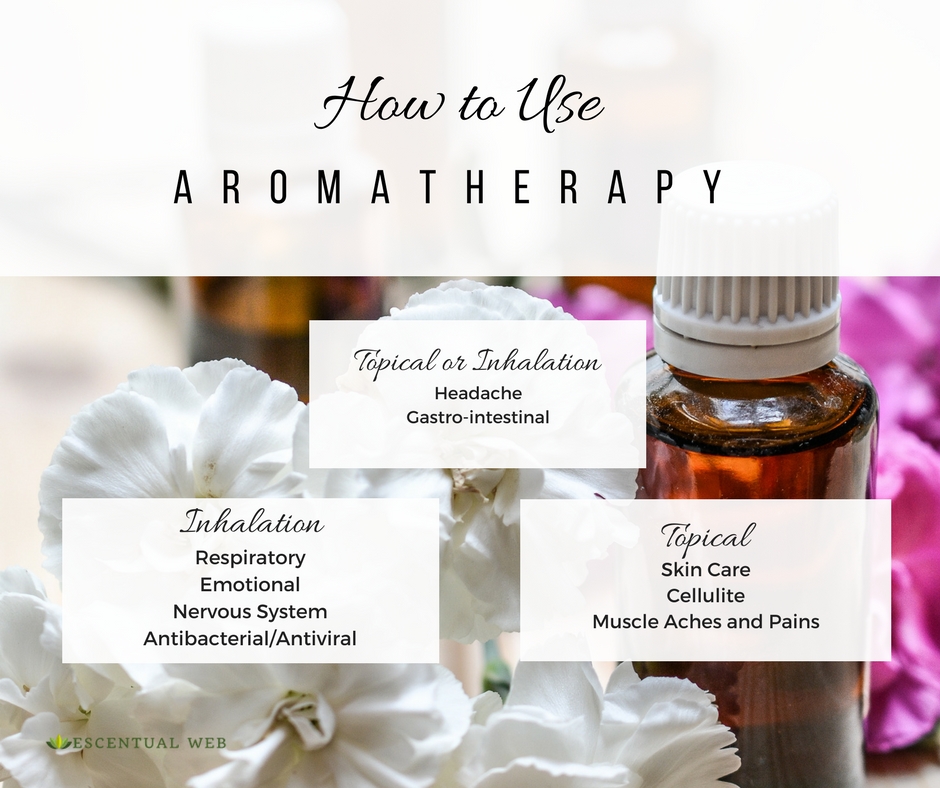 Essential oils bottles and flowers with lists of uses for inhalation, topical or both