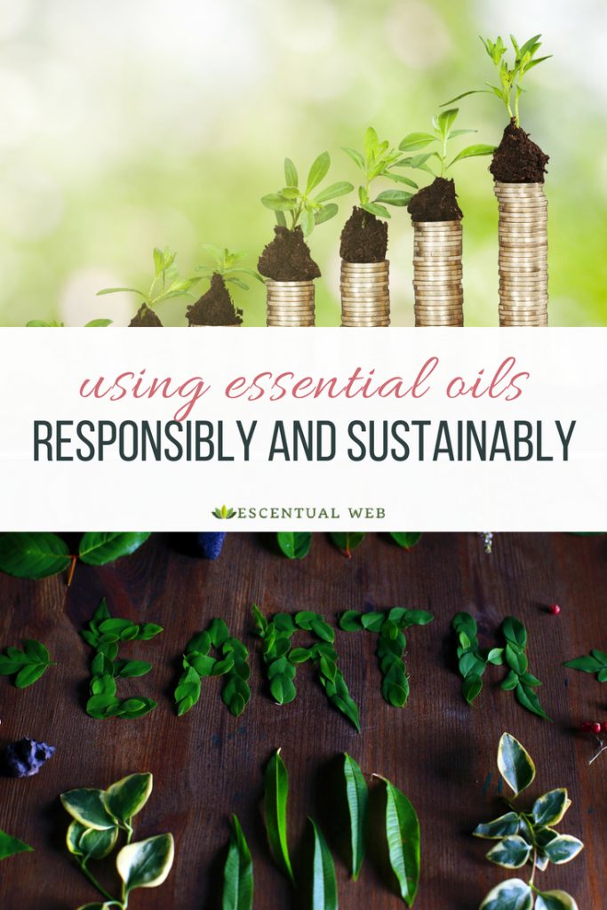 Photo of stacked coins and green leaves and photo of leaves spelling the word Earth; text overlay says using essential oils responsibly and sustainably