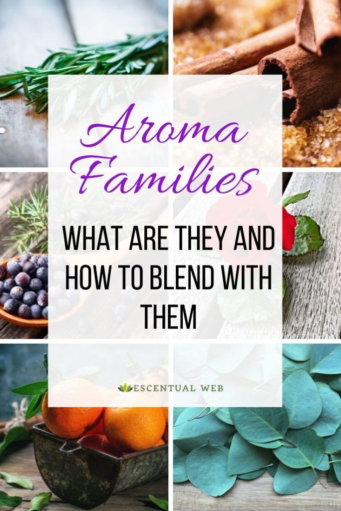 aroma families with collage of spices, herbs, fruits