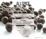 Allspice Essential Oil (Pimenta officinalis)