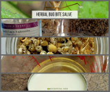How to Make an Herbal Bug Bite Salve