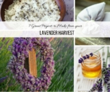7 Great Projects you can make with your Lavender Harvest