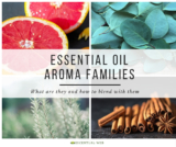 8 Essential Oil Aroma Families